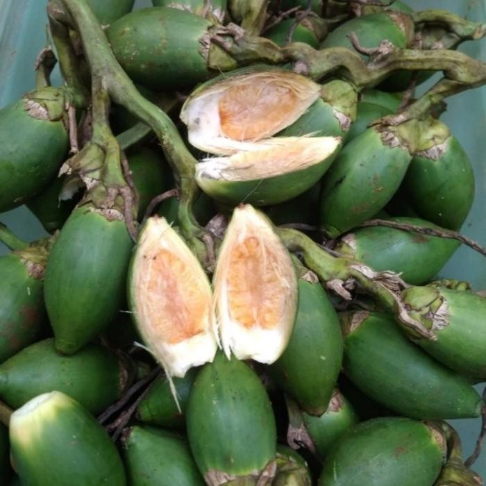 

Ready stok buah pinang ceming Murah buah pinang muda jambe muda segar Murah Sehat