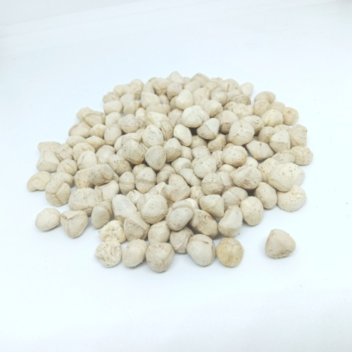 

Promo Murah Terlaris [50gram] biji kelor kupas atau kernel biji kelor
