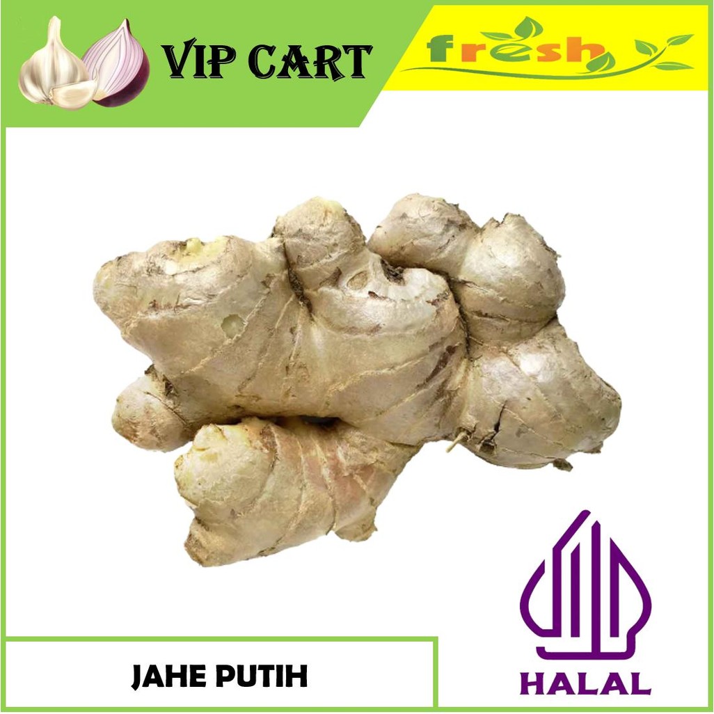 

JAHE PUTIH JAHE BESAR SEGAR - BUMBU DAPUR