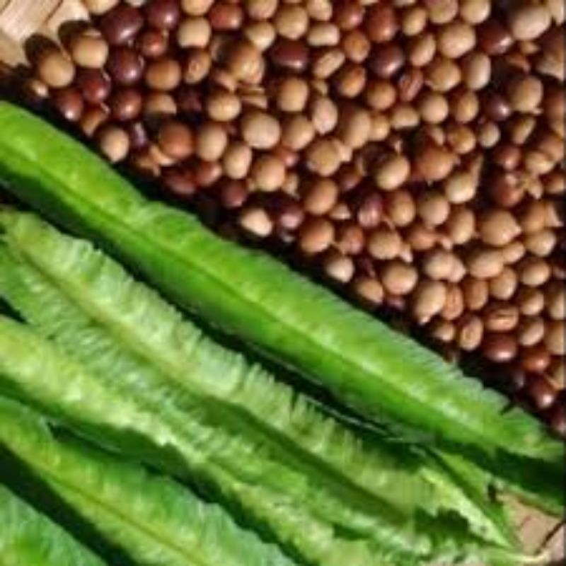 Benih Kecipir Hijau 100gram Cipir Botor Biji Bibit Unggul Repack