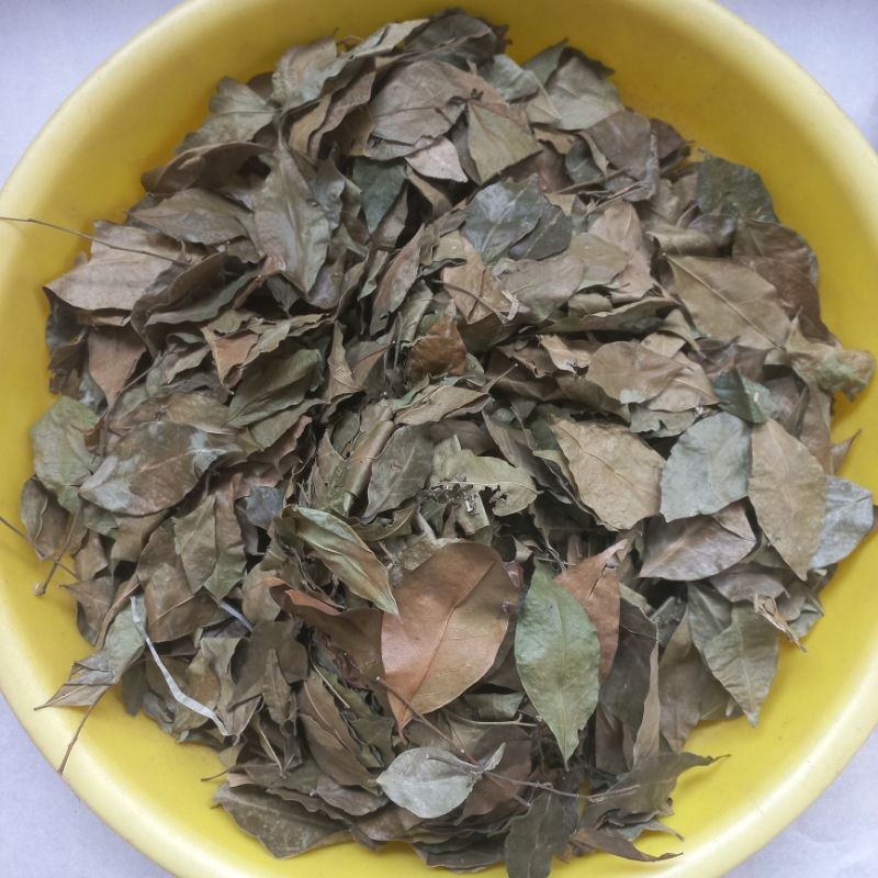 

MURAH daun kemuning kering 100gr