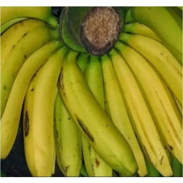 

[COD] Buah Pisang Ambon Super 1kg