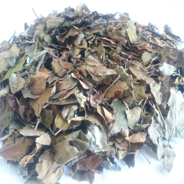 

Promo Murah Terlaris promo benalu teh 50 gram premium