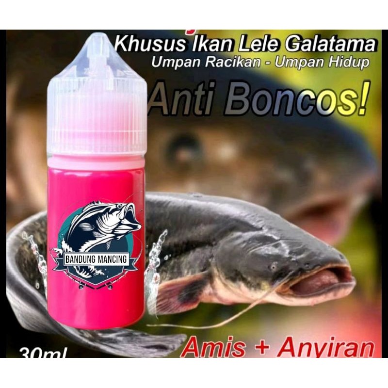 Essen Oplosan Galatama Lele Paling Gacor, Essen Ikan Lele Kolam Harian Dan Galatama Indukan Paling J