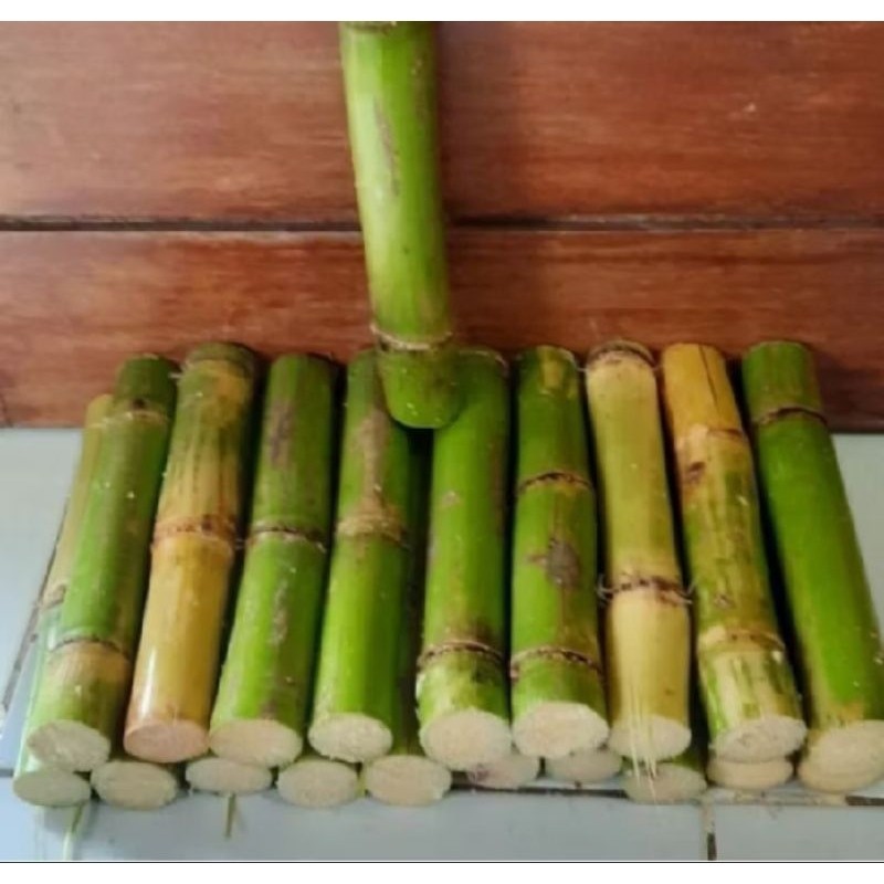 

Batang tebu hijau segar per 1kg
