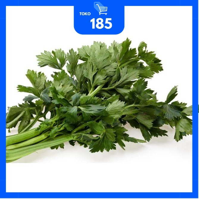 

Daun Seledri / Daun Sop