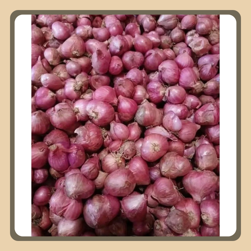 

1KG BAWANG MERAH ukuran BESAR SEDANG ASLI BOYOLALI