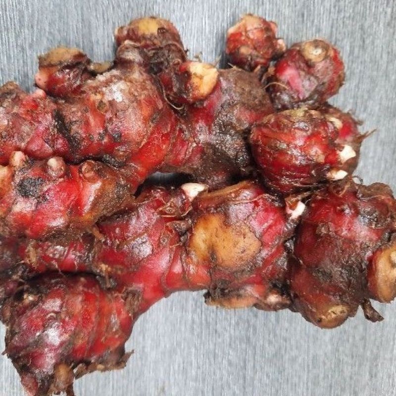 

JAHE MERAH FRES BERSIH 1 KG Y