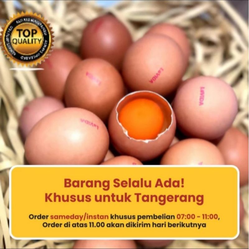 

Promo Telur LaVIDA OMEGA 3 Asli Bukan Suntikan - 1 Tray/30 Butir