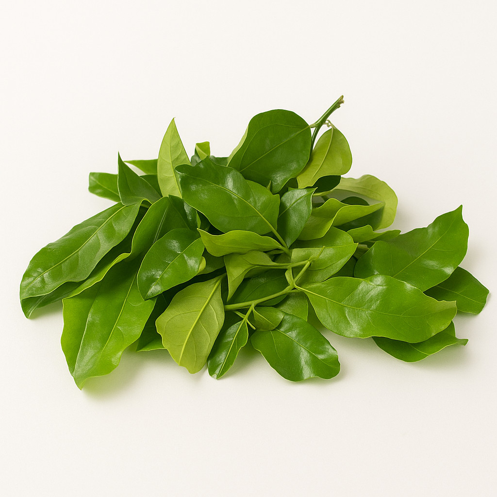

Daun So / Daun Melinjo 50gr | Fresh Segar