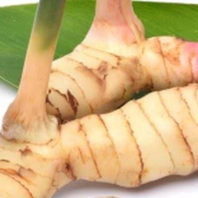 

Lengkuas 500gr