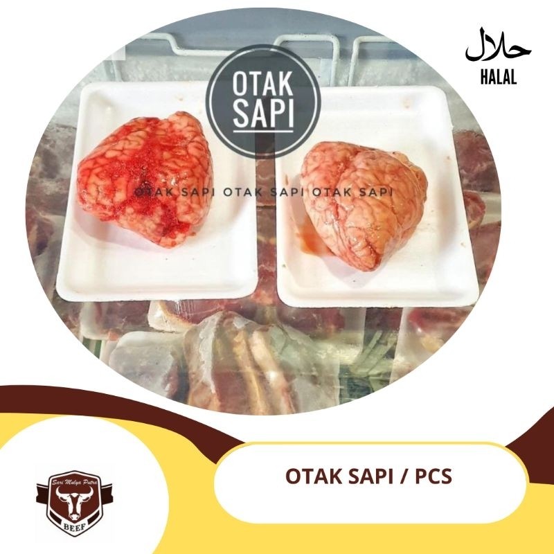 

Otak sapi / otak sapi segar