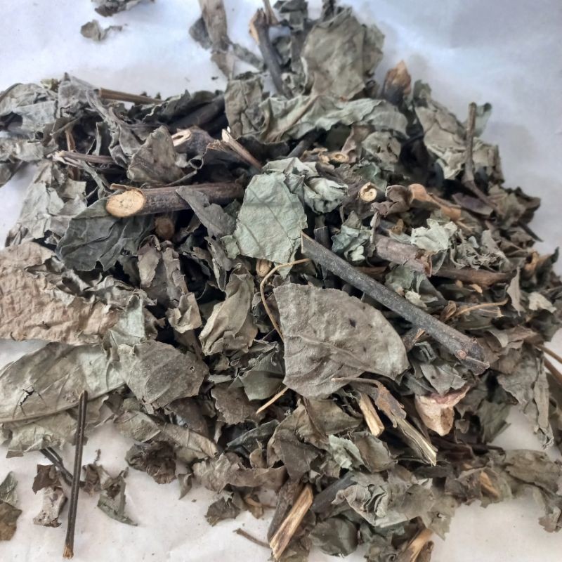 

MURAH Daun Keji Beling Kering 100gr