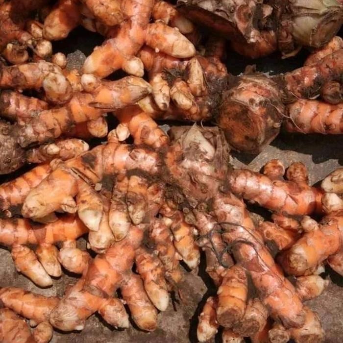 

kunyit segar 1kg - 500gr herbal