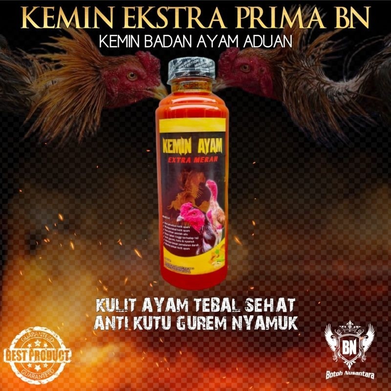 Jamu Ayam Tarung Beringas KEMIN BADAN aduan EXTRA MERAH