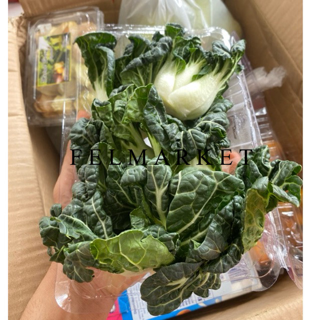 

Sayur To Pai Cai Import Fresh / Sayur Siu Tau Pai Segar / 500 grm