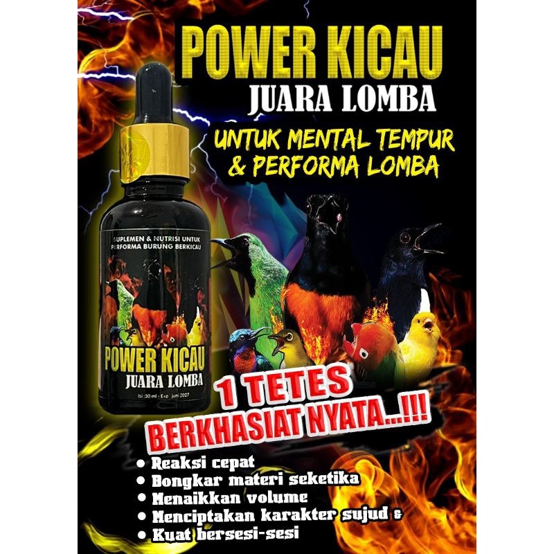 HOKI.ID Power Kicau Bird Vitamin Suplemen Burung Kicau