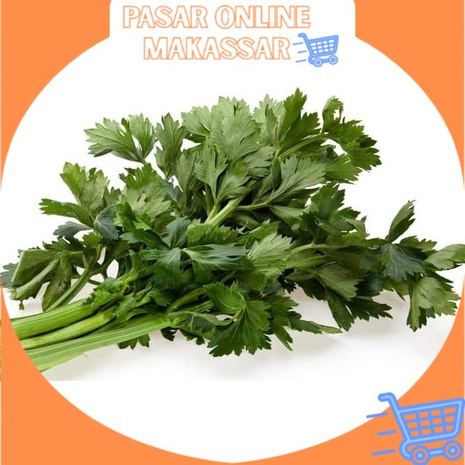 

Daun Seledri / Daun Sop
