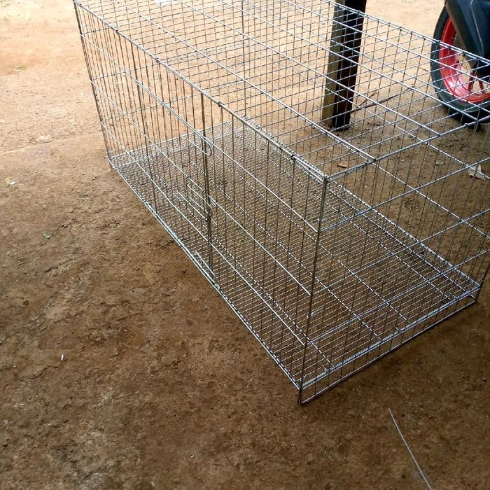 kandang kucing super jumbo 120x60x60 - crum, kandang kucing