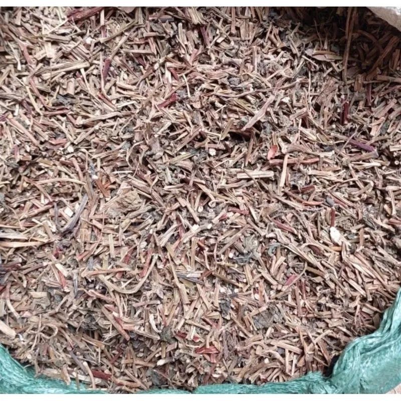 

DAUN BINAHONG KERING JUAK DAUN BINAHONG KERING 50 GRAM AR