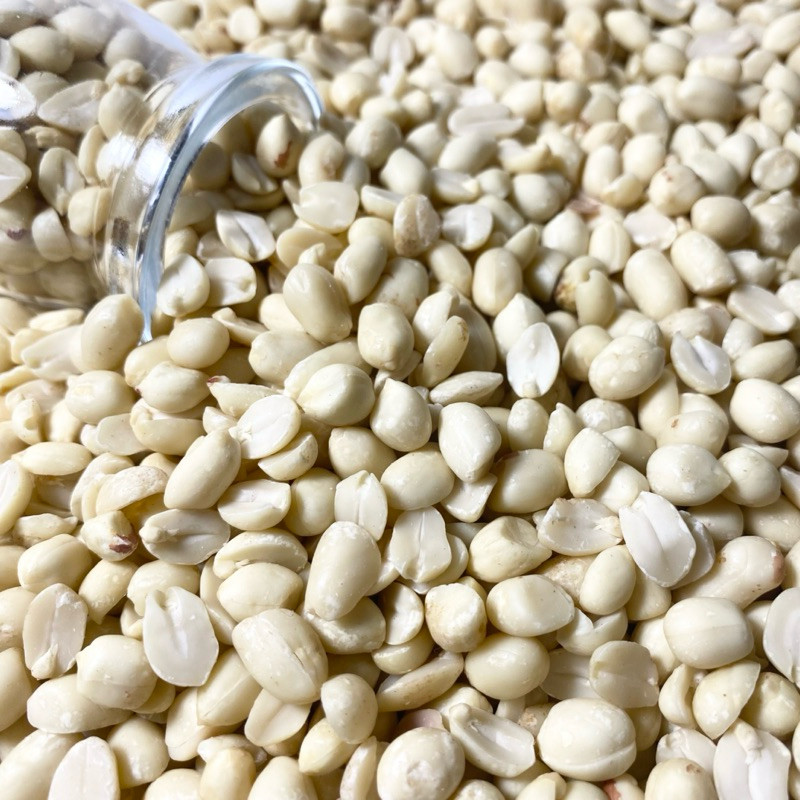 

Fresh Kacang Tanah Kupas 25kg Mentah Fresh Dus Vacuum Pack