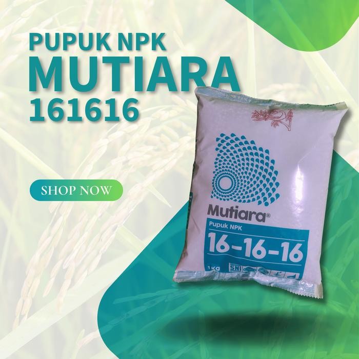 Pupuk NPK Mutiara 161616 1 kg