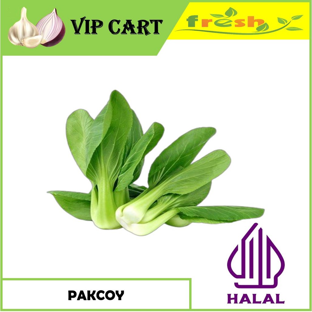 

SAYUR SEGAR SERBA 5RB - PAK CHOY / BOK CHOY