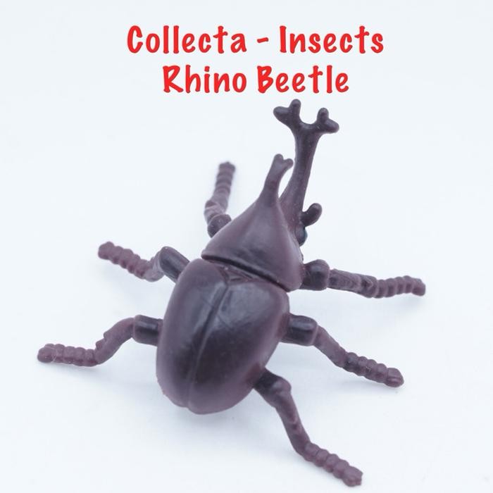 Collecta A1106 Mini Insect & Spider | Rhino Beetle Kumbang Badak Tanduk Dynastinae | Small Size Ukur