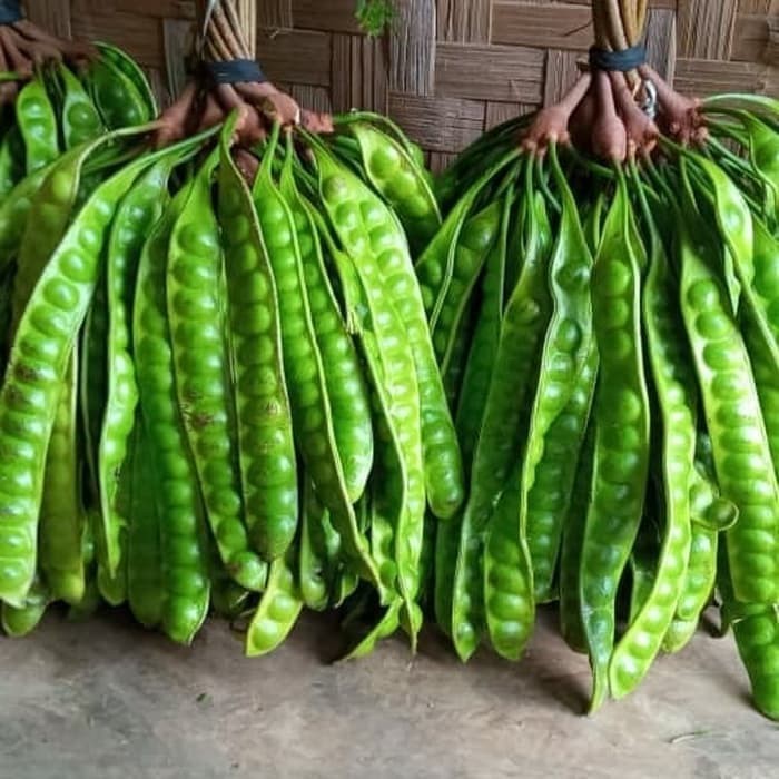

Sahabatalam Pete Kupas Tanpa Ulat dan Legit KC