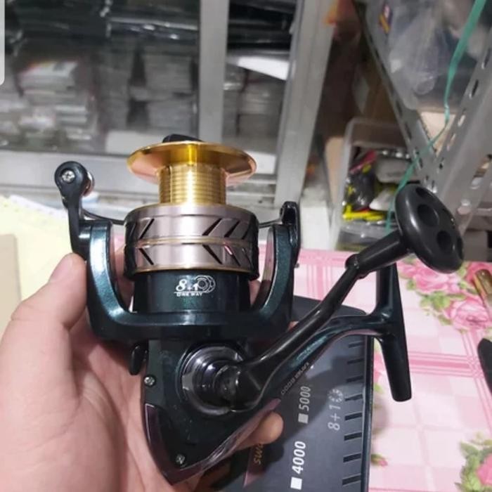 reel swan kayser 6000 reel power handel