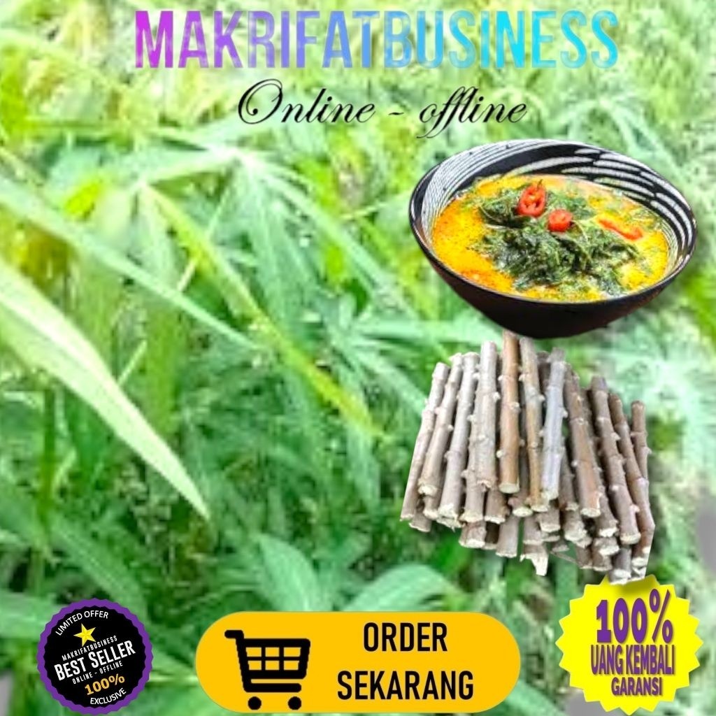 

IMRON PRIBADI Paket 20 Pcs 20 cm BATANG SINGKONG SAYUR Untuk Konsumsi Aneka Masakan Juga Bisa Sumber Protein 2k Ternak Ayam Ikan Gurami dll