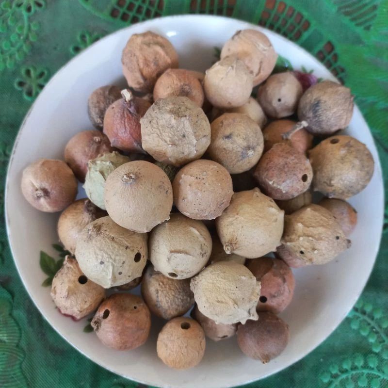

MURAH Buah Manjakani Super 500gr