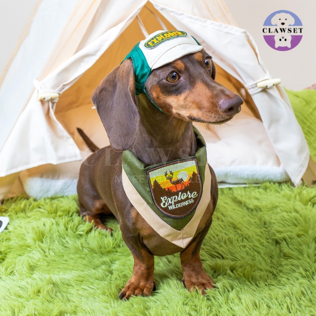 Clawset - Pet Hat - Scout Collection (Topi Hewan Peliharaan) - Explorer Green Hemat