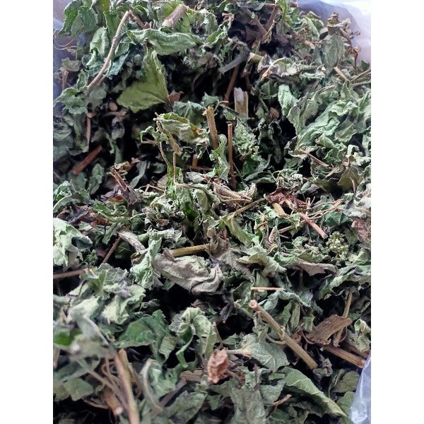 

PROMO DAUN KIRINYUH KERING 100 GRAM MURAH Y
