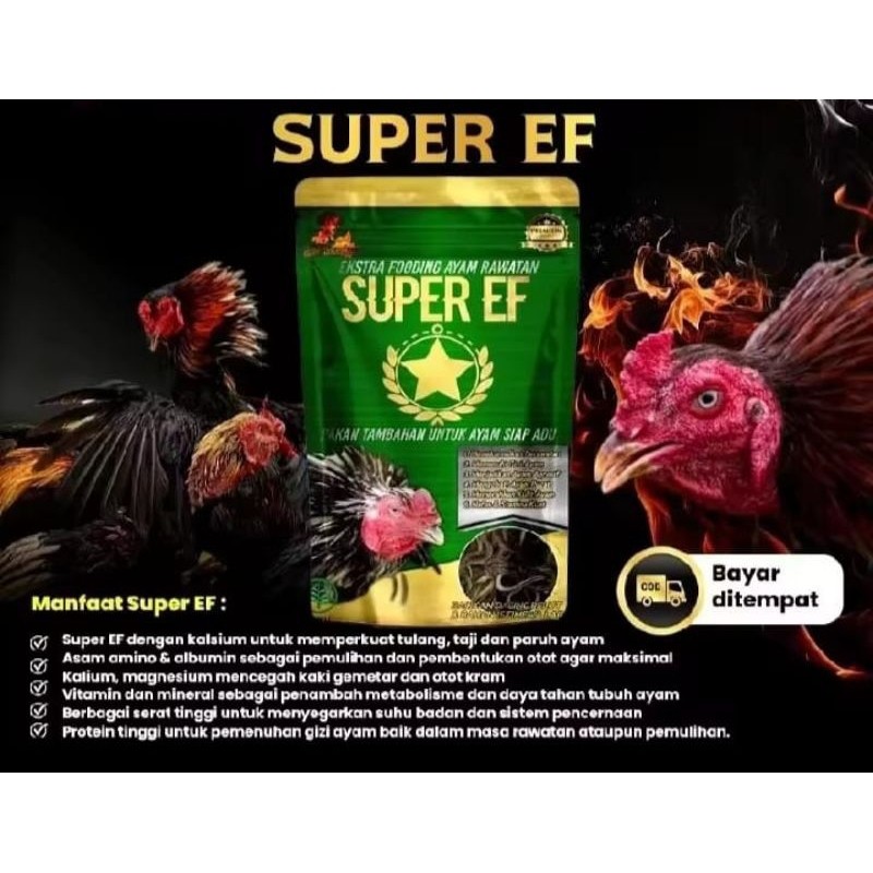 Vitamin Ayam Adu Sangar Extra fooding aduan SUPER EF 100g stamina otot nafas tenaga nafsu makan maks