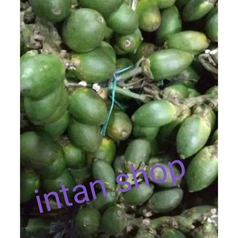 

buah pinang muda 1000 gr buah herbal alami prkasa .