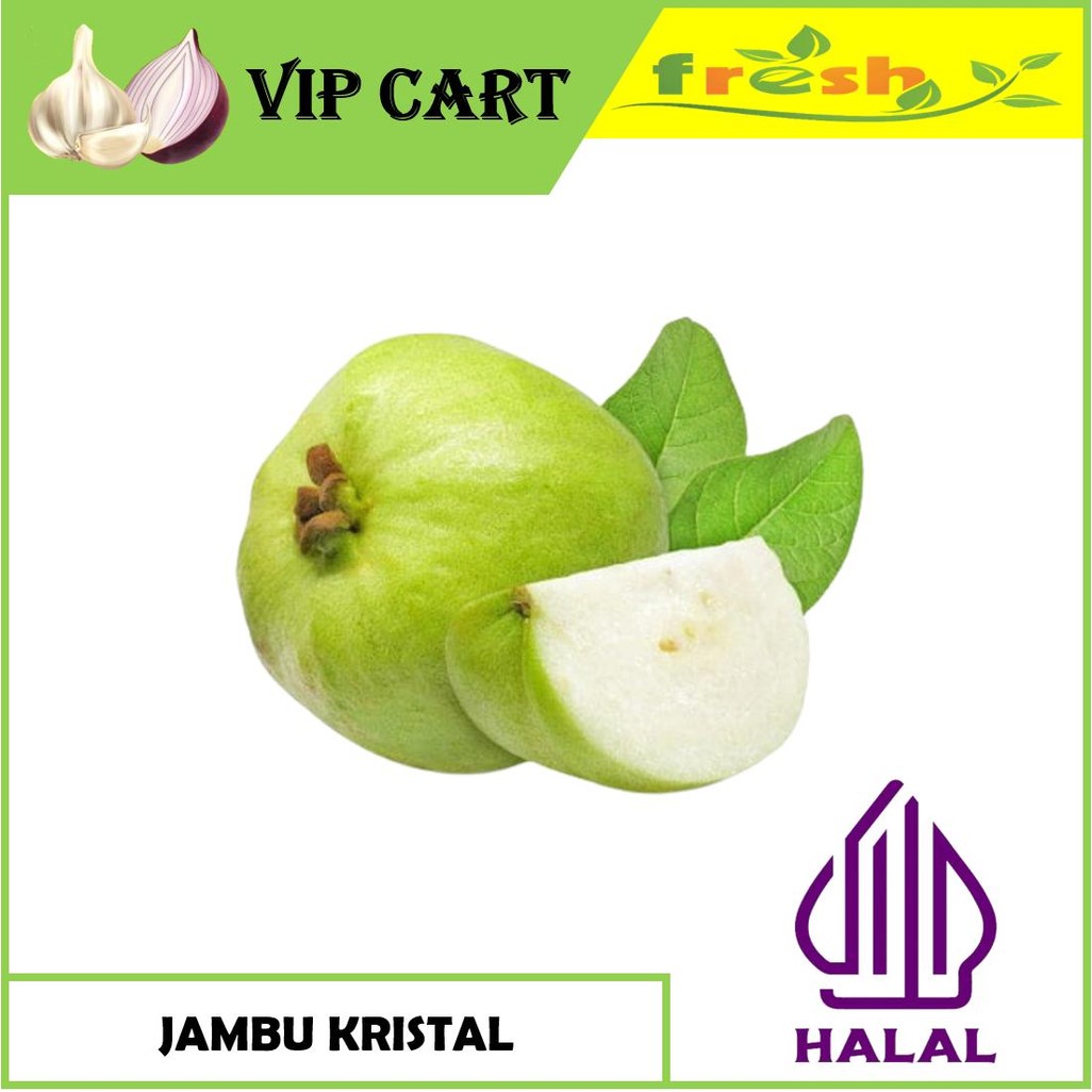 

JAMBU KRISTAL - BUAH SEGAR