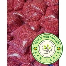 

READY!! Jagung ADV Jago/Ruby/Joss/Bejo - 1kg (B.B.19)