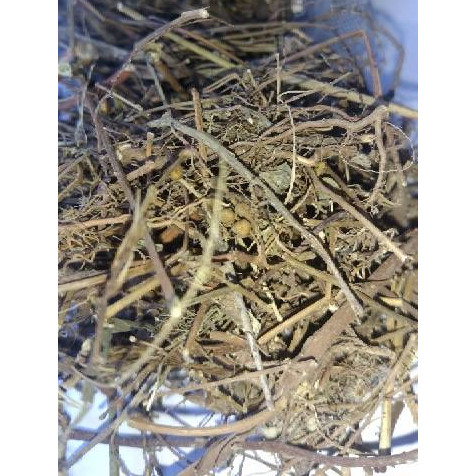 

MURAH Meniran kering 100gr