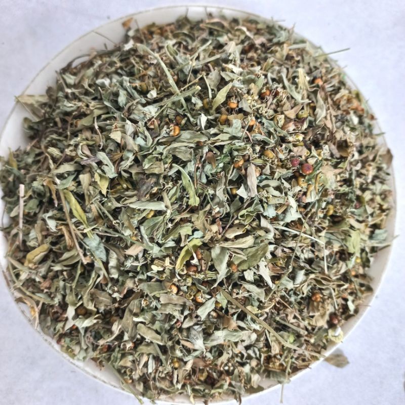 

MURAH Daun Meniran Hijau Kering 500gr