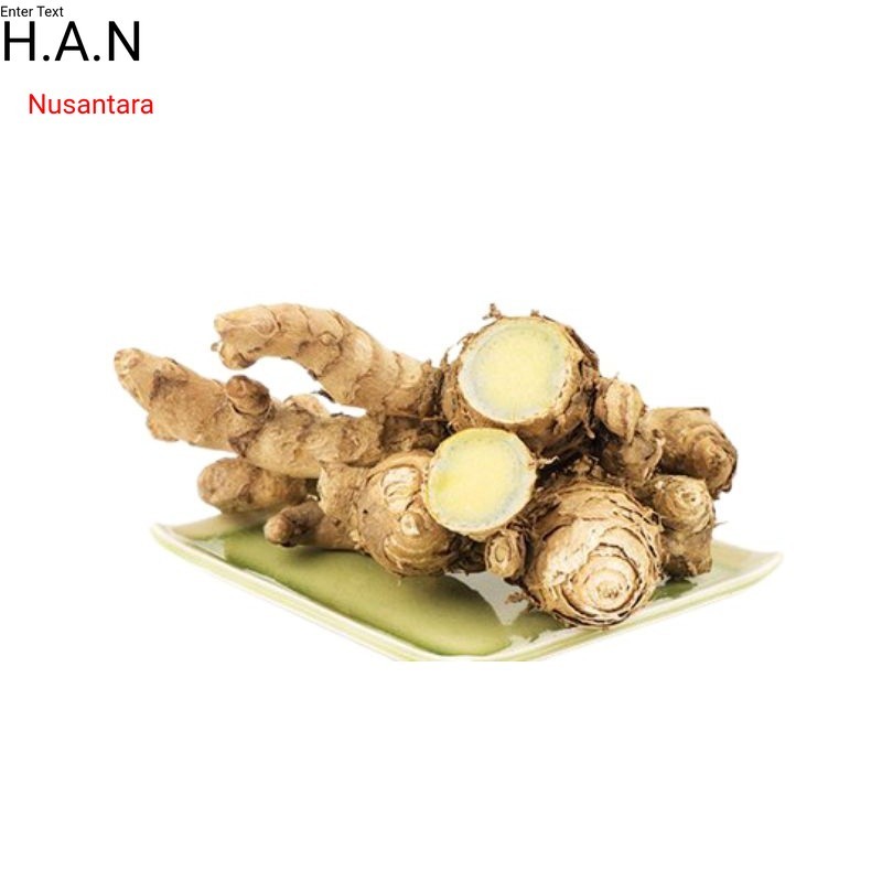 

Ready Kunyit hitam 1kg temu ireng hitam segar basah