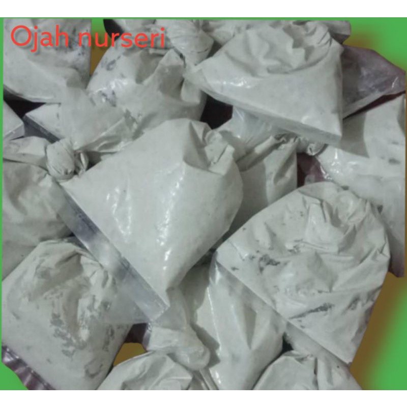 

KAPUR SIRIH BASAH 100GR/BANYAK MANFAAT