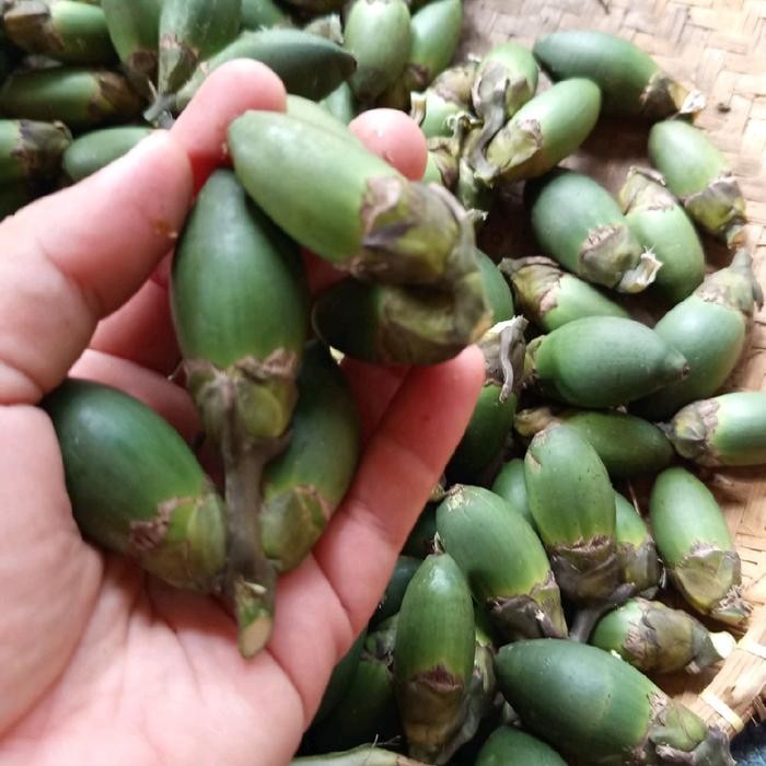 

Ready stok buah pinang ceming buah pinang muda organik 10 biji, pinang muda berkhasiat ~ Zuriat Alami