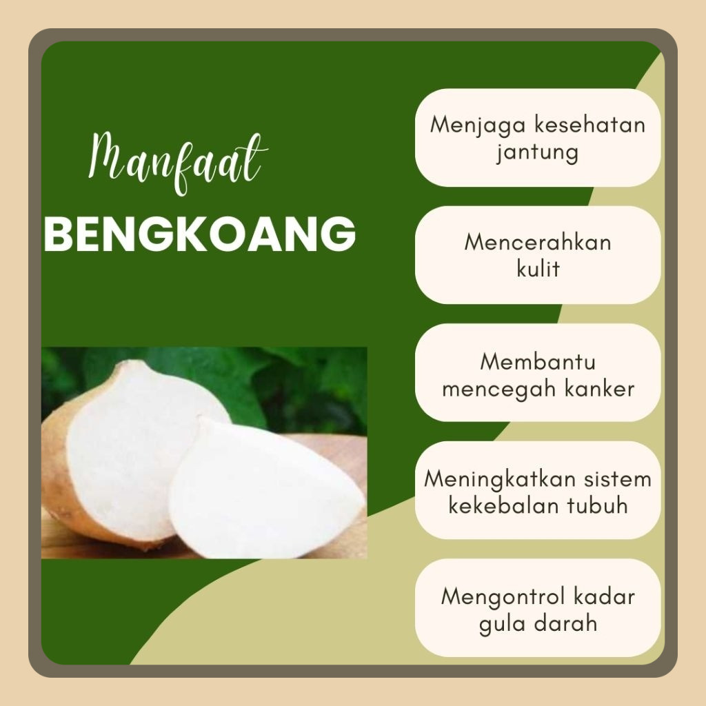

BENGKOANG / BESUSU FRESH 1 KG