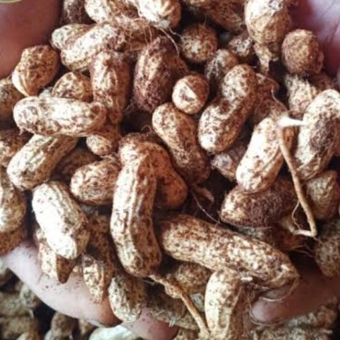 

Kacang Tanah Kulit 500gr