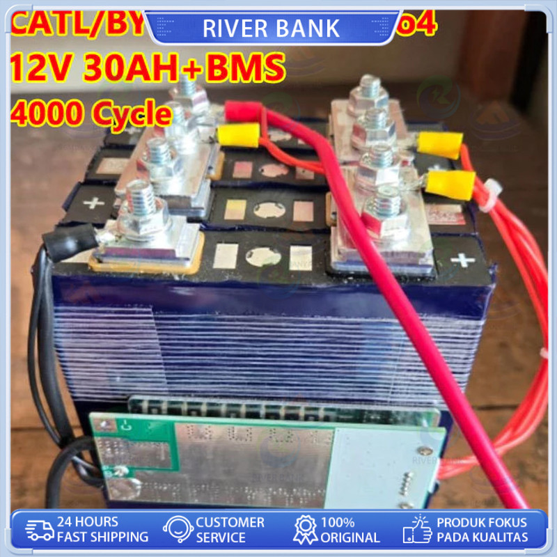 CATL/BYD Battery Lifepo4 Battery Lifepo4 12v/24V 100ah /120AH plus BMS