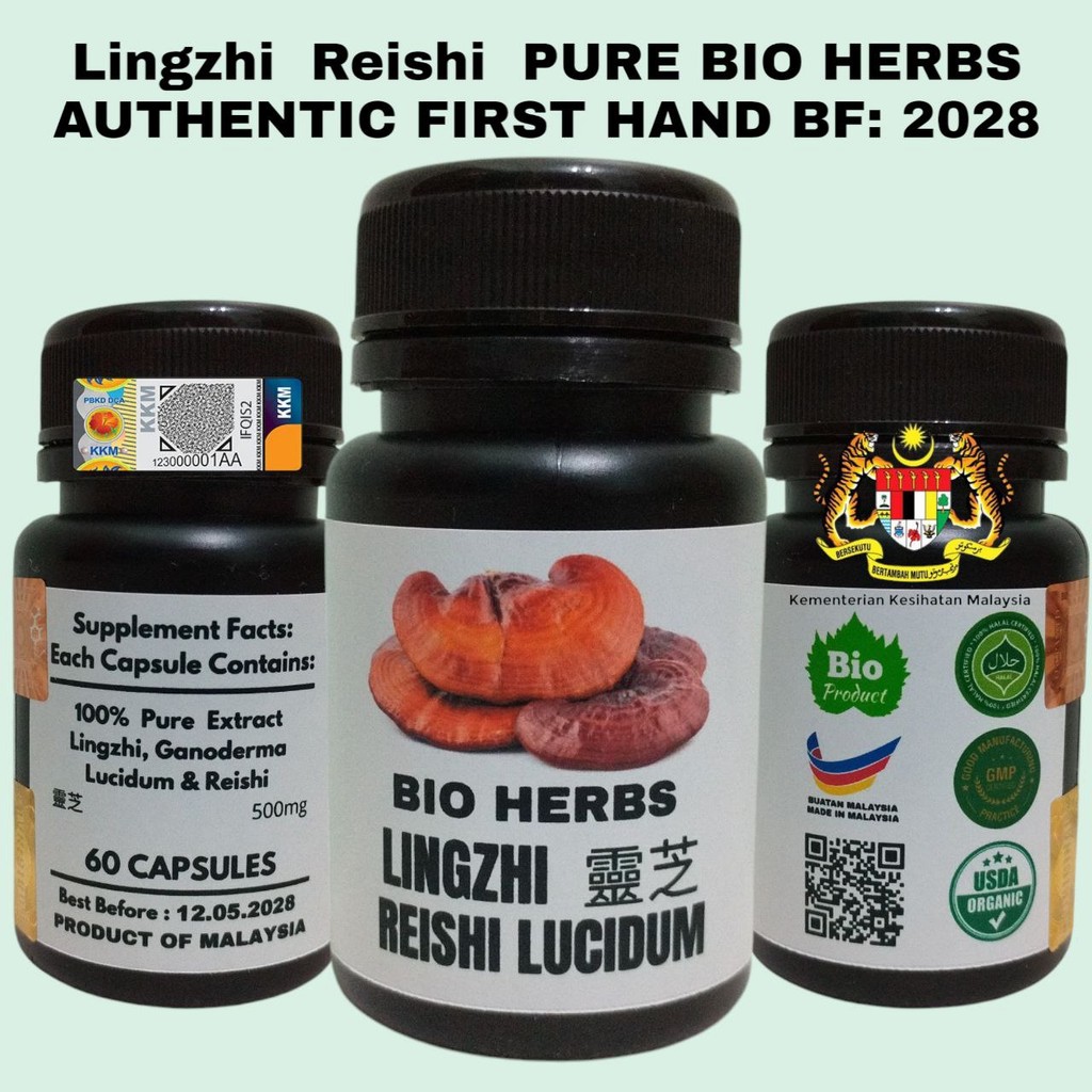 Ekstrak Lingzhi Reishi Ganoderma Lucidum Kapsul Herbal Impor 60 Kapsul