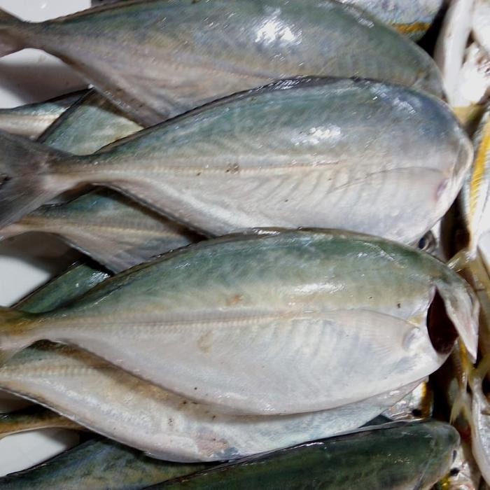 

Ikan Selar Kapal 1 kg