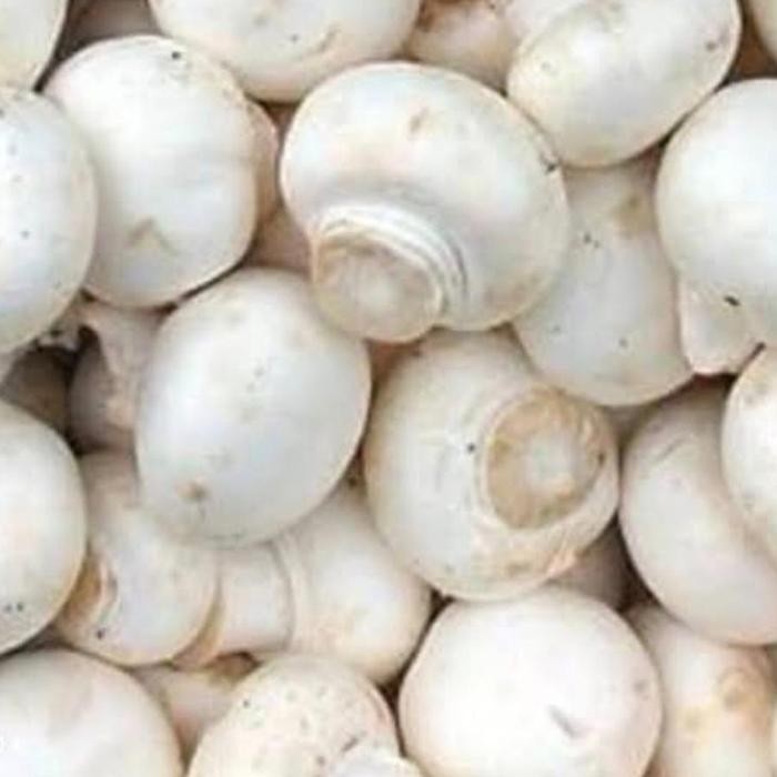 

Jamur Merang 1 kg