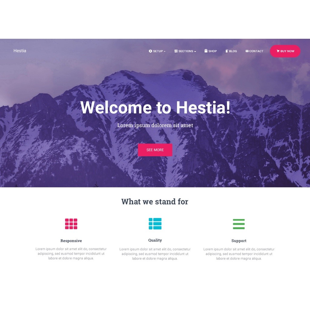 Hestia Pro Theme – Modern Material Design Theme Wordpresss